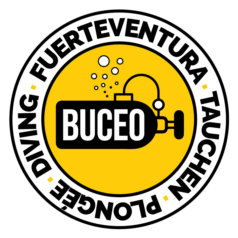 FUERTEVENTURA BUCEO | DIVING CENTER – Centro de buceo en Jandía, Fuerteventura. Tauchschule – Centre de plongée